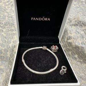 Pandora Charm Bracelet
